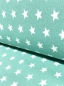 Preview: Jersey Sterne 1cm - mint